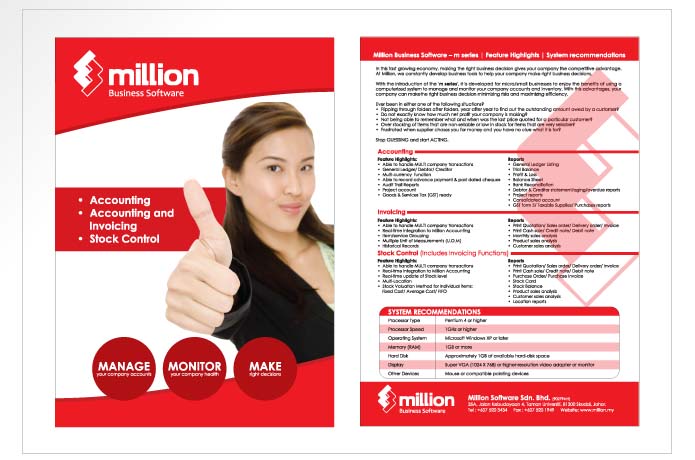 Million Business Software Flyer